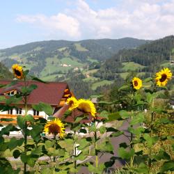 Faistenau 9 B&Bs