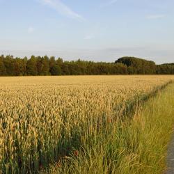 Jabbeke 6 of the campsites