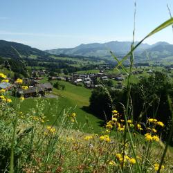Schwarzenberg im Bregenzerwald 26 căn hộ