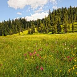 Ried im Innkreis 7 cheap hotels