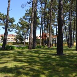 Furadouro 6 pet-friendly hotels