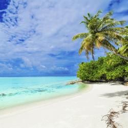 Maradhoofeydhoo 5 hotels