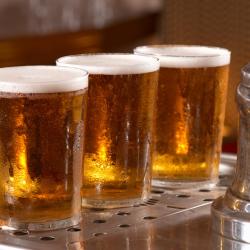 Elstree 3 pet-friendly hotels