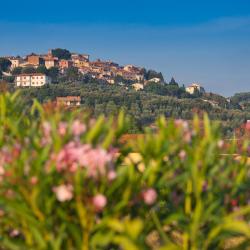 Donoratico 4 farm stays