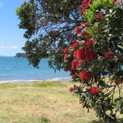 Kaitaia 4 motely