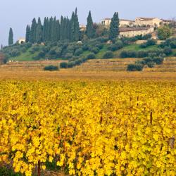 Caselle di Sommacampagna 3 hotéis