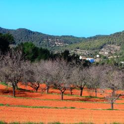 Sant Jordi 53 hotels