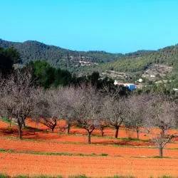 Sant Jordi 58 hotel