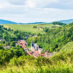 Lindenfels 12 pet-friendly hotels