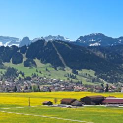 Saaldorf 4軒のバケーションレンタル