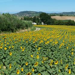 Spigno Monferrato 6 pet-friendly hotels