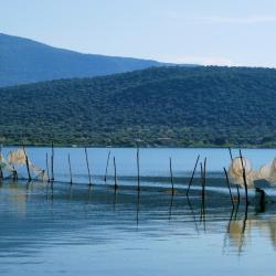 Foce Varano 35 hotels