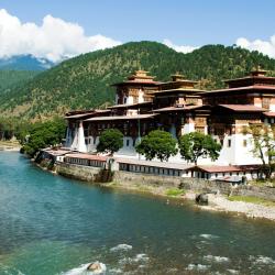 Paro 44 hotels