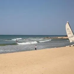 소모네