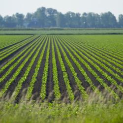 Heelsum 3 hotels with parking