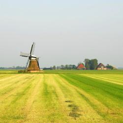 Varel 3 farm stays