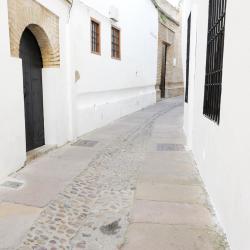 Palma del Río 3 chalupy