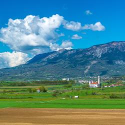 Ajdovščina 21 hoteller