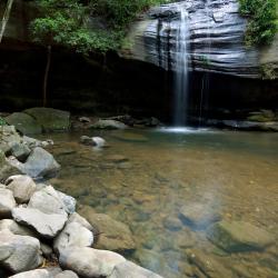 Buderim 12 of the cottages