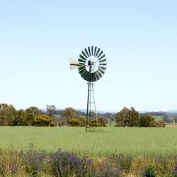 Narrandera 9 hotel