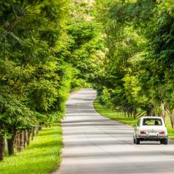 Rio das Flores 3 villas