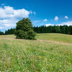 Марія-Луггау 13 готелів