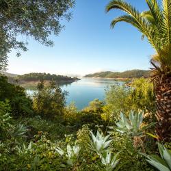 Santa Clara-a-Velha 3 pet-friendly hotels