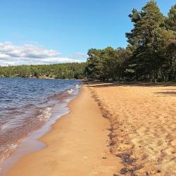 Hova 10 hot&eacute;is que aceitam animais de estima&ccedil;&atilde;o