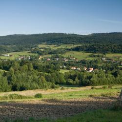 Ludwikowice Kłodzkie 3 ski resorts
