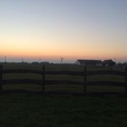Sarud 8 of the holiday rentals