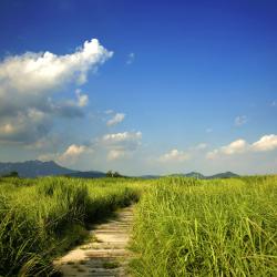 Namwon 4 guest houses