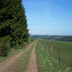 Nettersheim 4 holiday homes