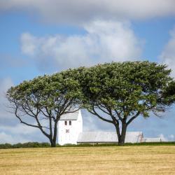 Vestervig 3 glampingpladser
