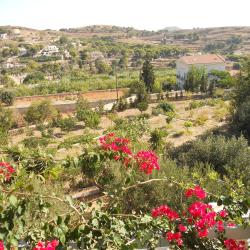 Chrousa 6 hotels