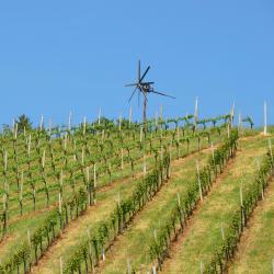 Kitzeck im Sausal 4 vendégház