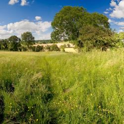 Ballaghaderreen 3 hotely