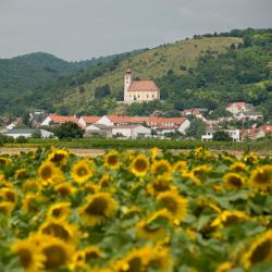 Donnerskirchen 5 obiektów na wynajem sezonowy