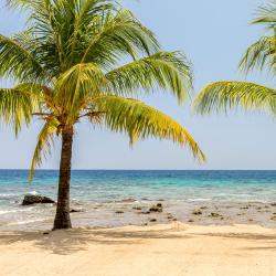 Tornab&eacute; 1 hotel