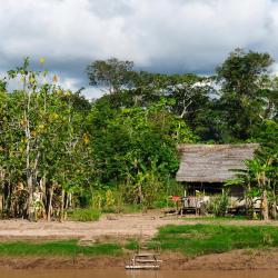 Iquitos 10 cabins