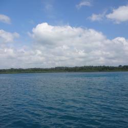 Port Blair 27 B&Bs