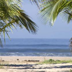 Rifaina 21 hotels