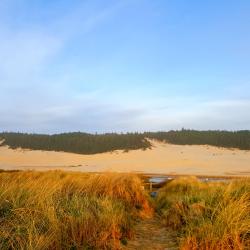 Reedsport 18 hotels