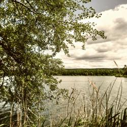 Bad Saarow 8 lake house rentals