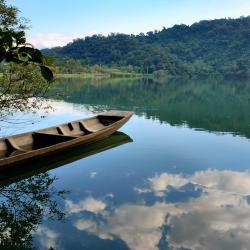 Dongshan 126 of the homestays