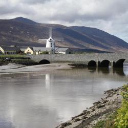 Tralee 5 boliger ved stranden