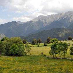 La Pobla de Lillet 11 vacation rentals