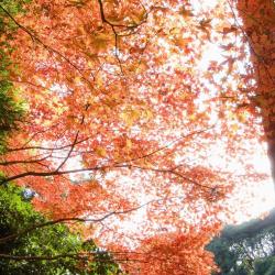 Musashino 7 hotels with parking