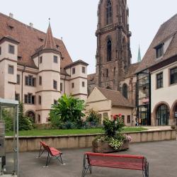 Sélestat 87 apartments