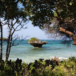 Chale Island 1 hotel