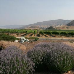 Atascadero 26 hotels
